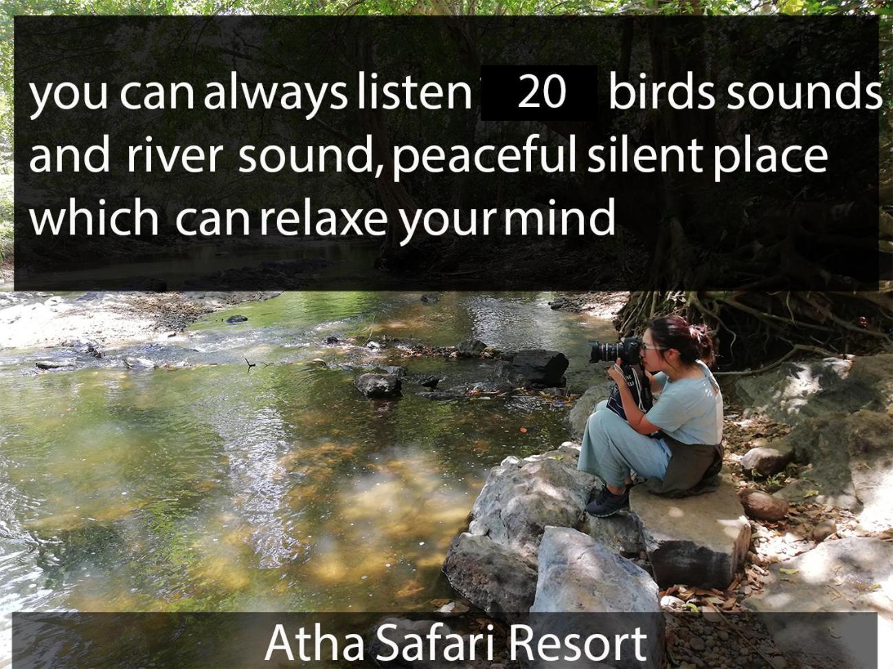 אודוואלאווה Atha Safari Resort & Riverside Camping מראה חיצוני תמונה