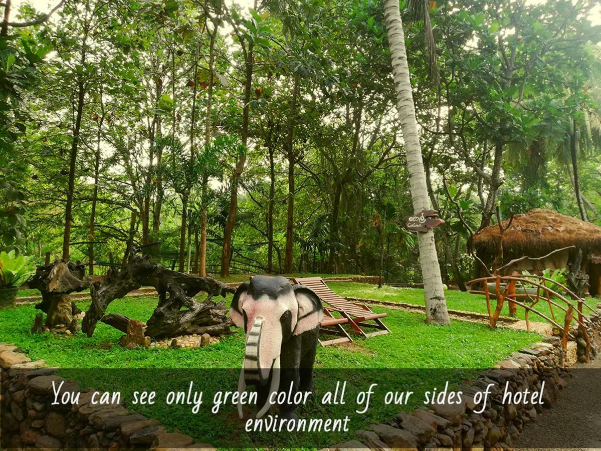 אודוואלאווה Atha Safari Resort & Riverside Camping מראה חיצוני תמונה